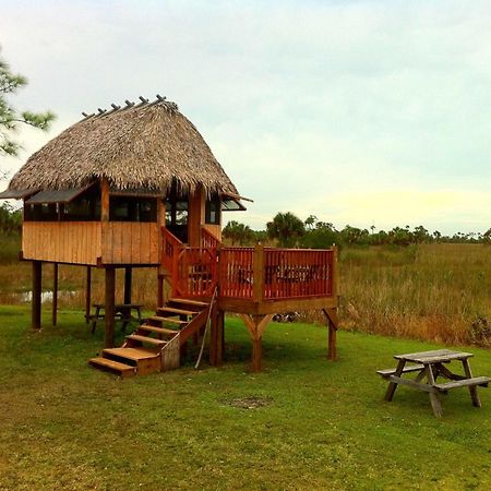 Everglades Chickee Cottage & Bungalow - Ochopee Exteriér fotografie