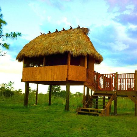 Everglades Chickee Cottage & Bungalow - Ochopee Exteriér fotografie