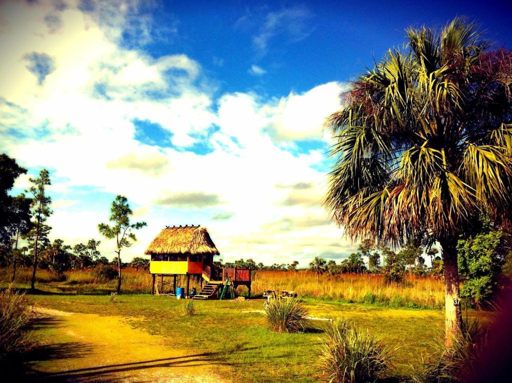 Everglades Chickee Cottage & Bungalow - Ochopee Pokoj fotografie