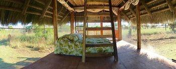 Everglades Chickee Cottage & Bungalow - Ochopee Exteriér fotografie
