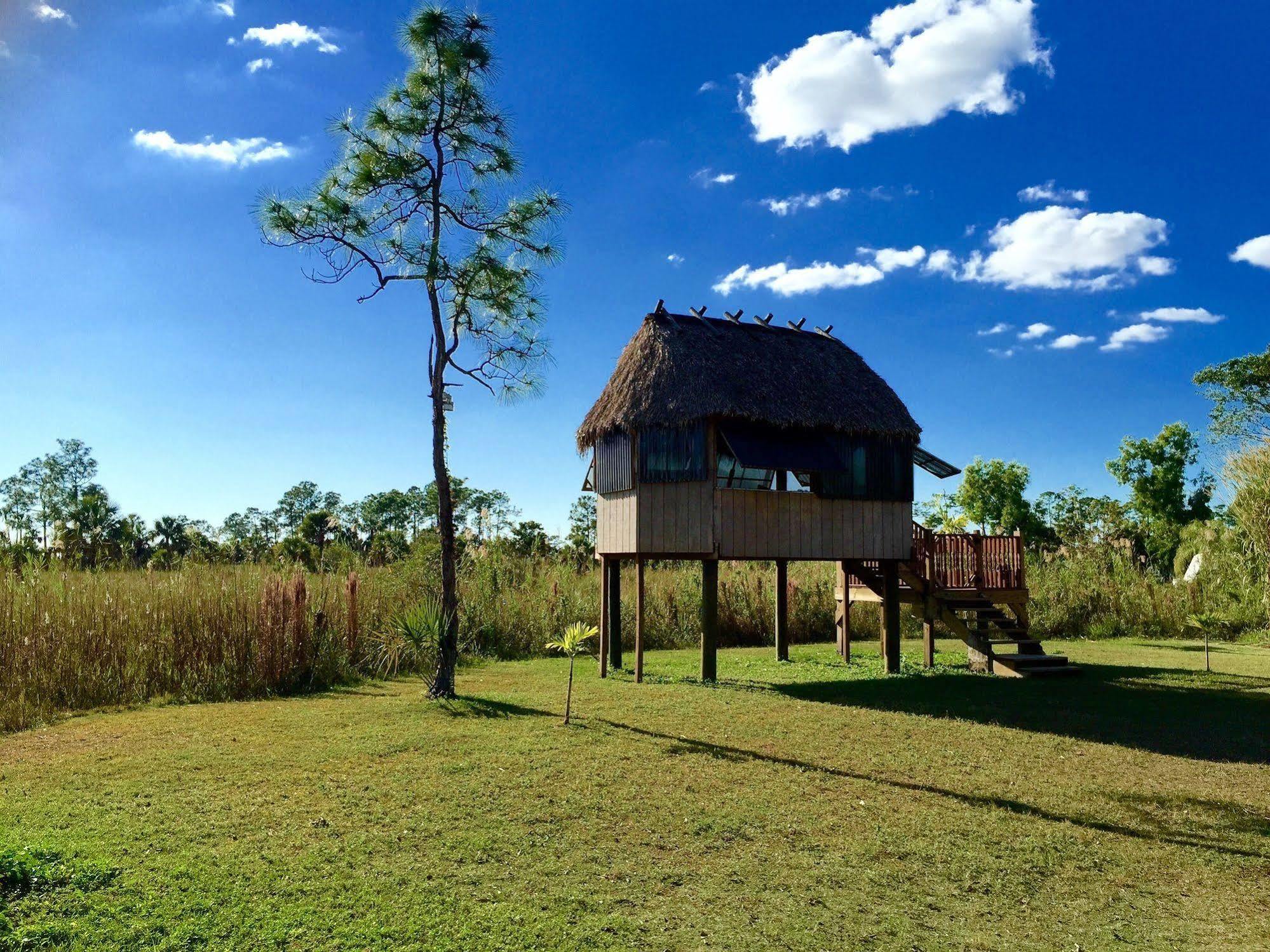 Everglades Chickee Cottage & Bungalow - Ochopee Exteriér fotografie