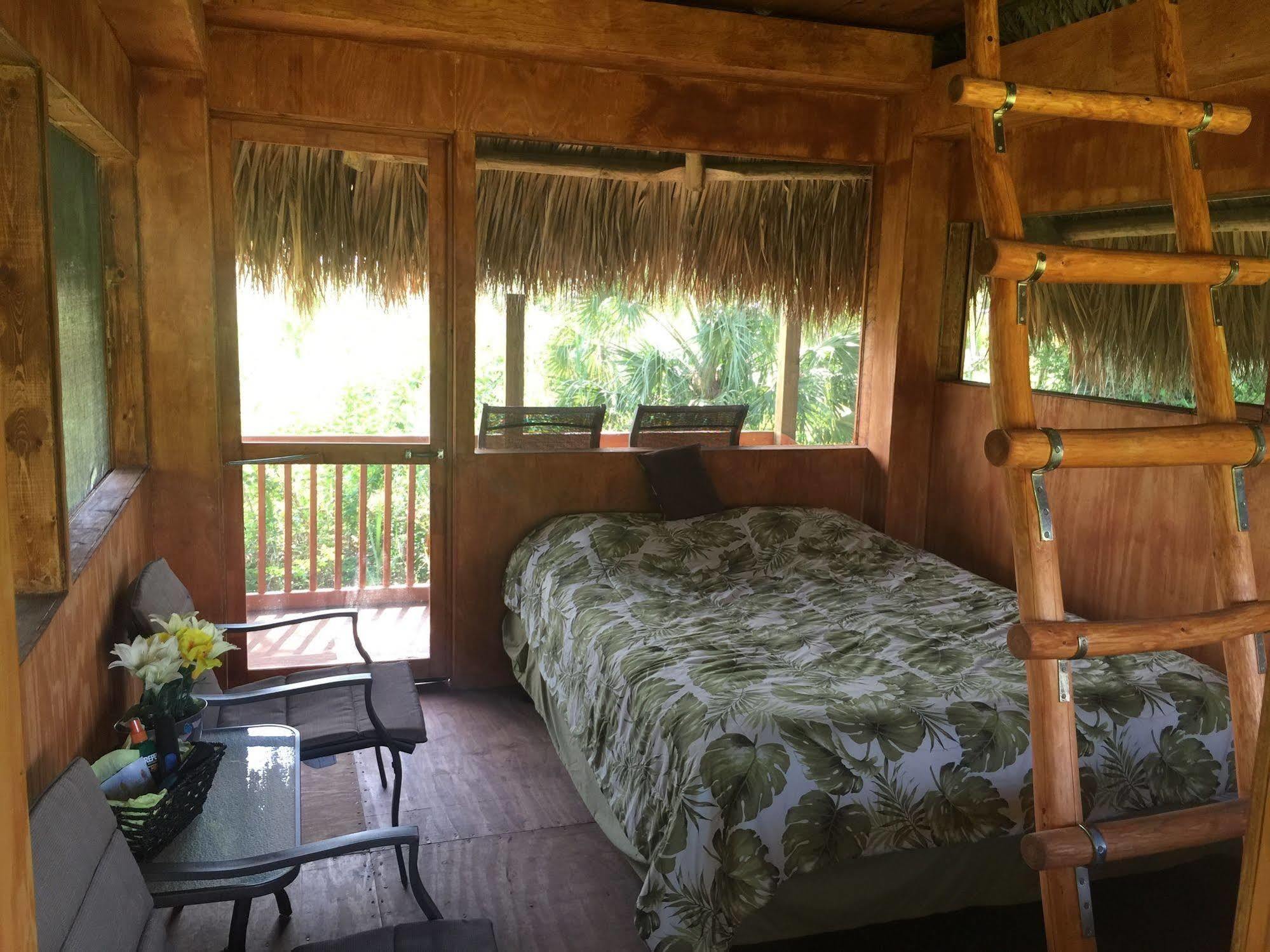 Everglades Chickee Cottage & Bungalow - Ochopee Exteriér fotografie